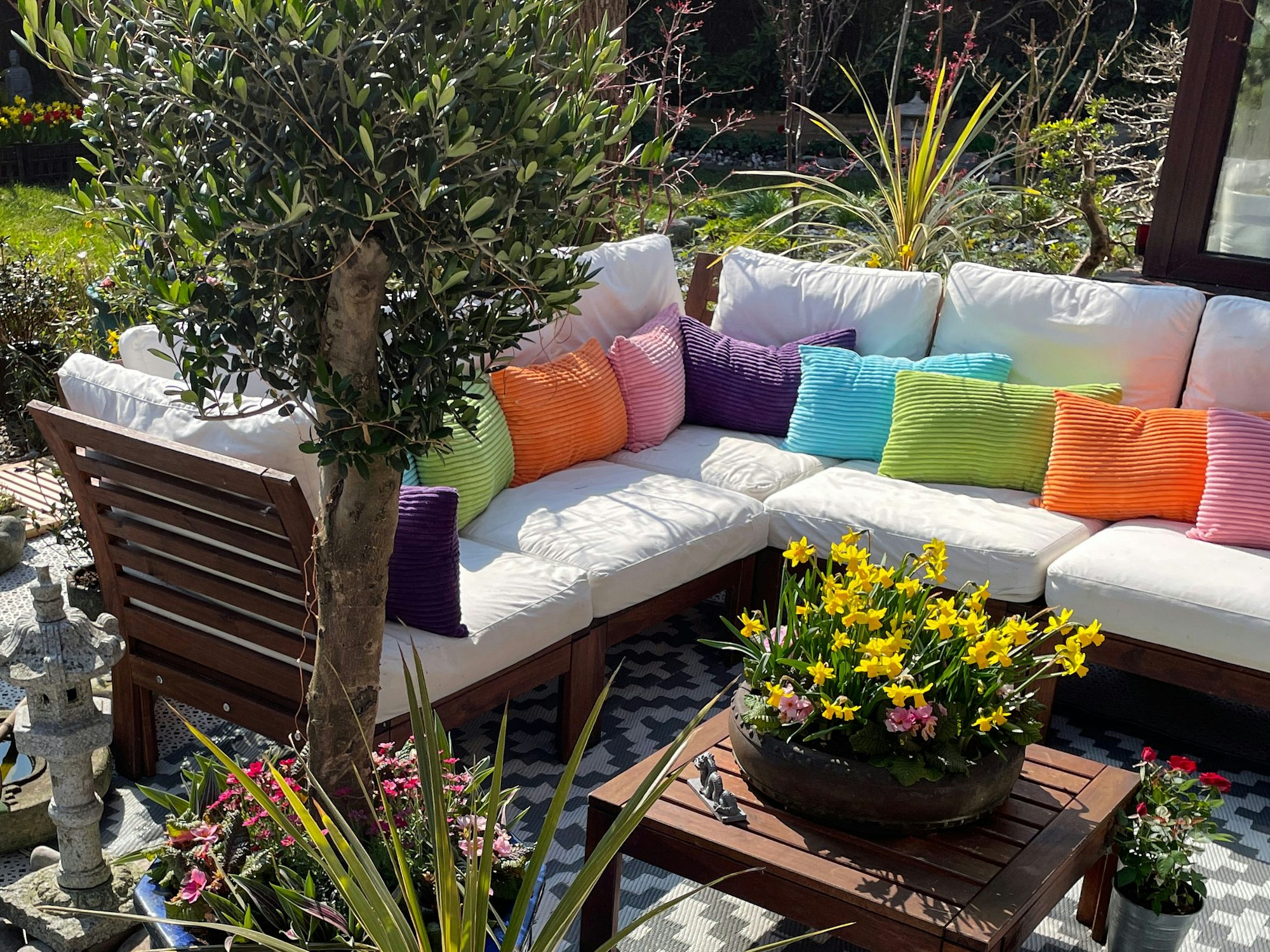 Mediterranes Pflanzen-Arrangement auf einer Terrasse