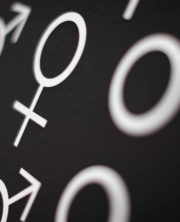 Die Symbole für das männliche und weibliche Geschlecht.