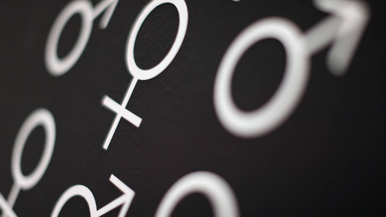 Die Symbole für das männliche und weibliche Geschlecht.