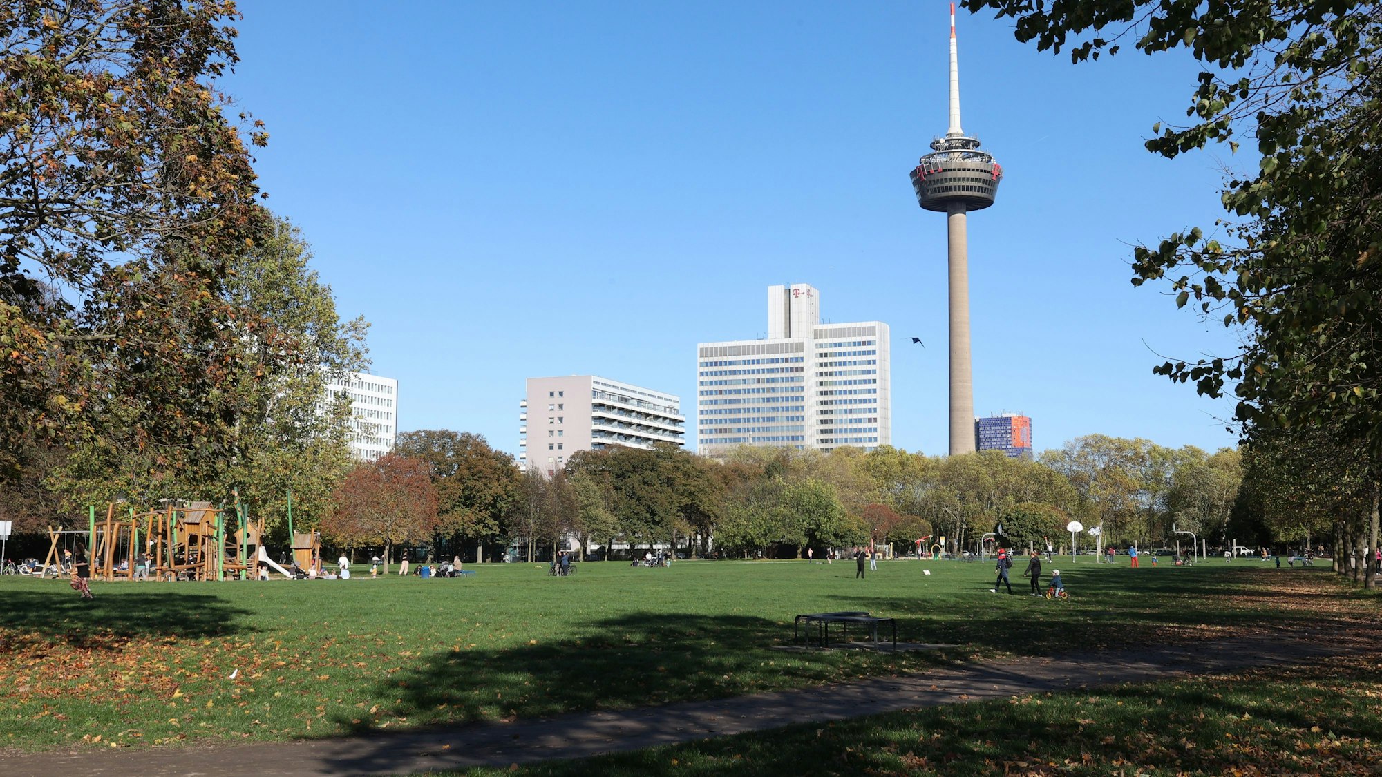 Eine große Rasenfläche, gesäumt von Bäumen, im Hintergrund der Colonius-Turm und weitere hohe Gebäude.