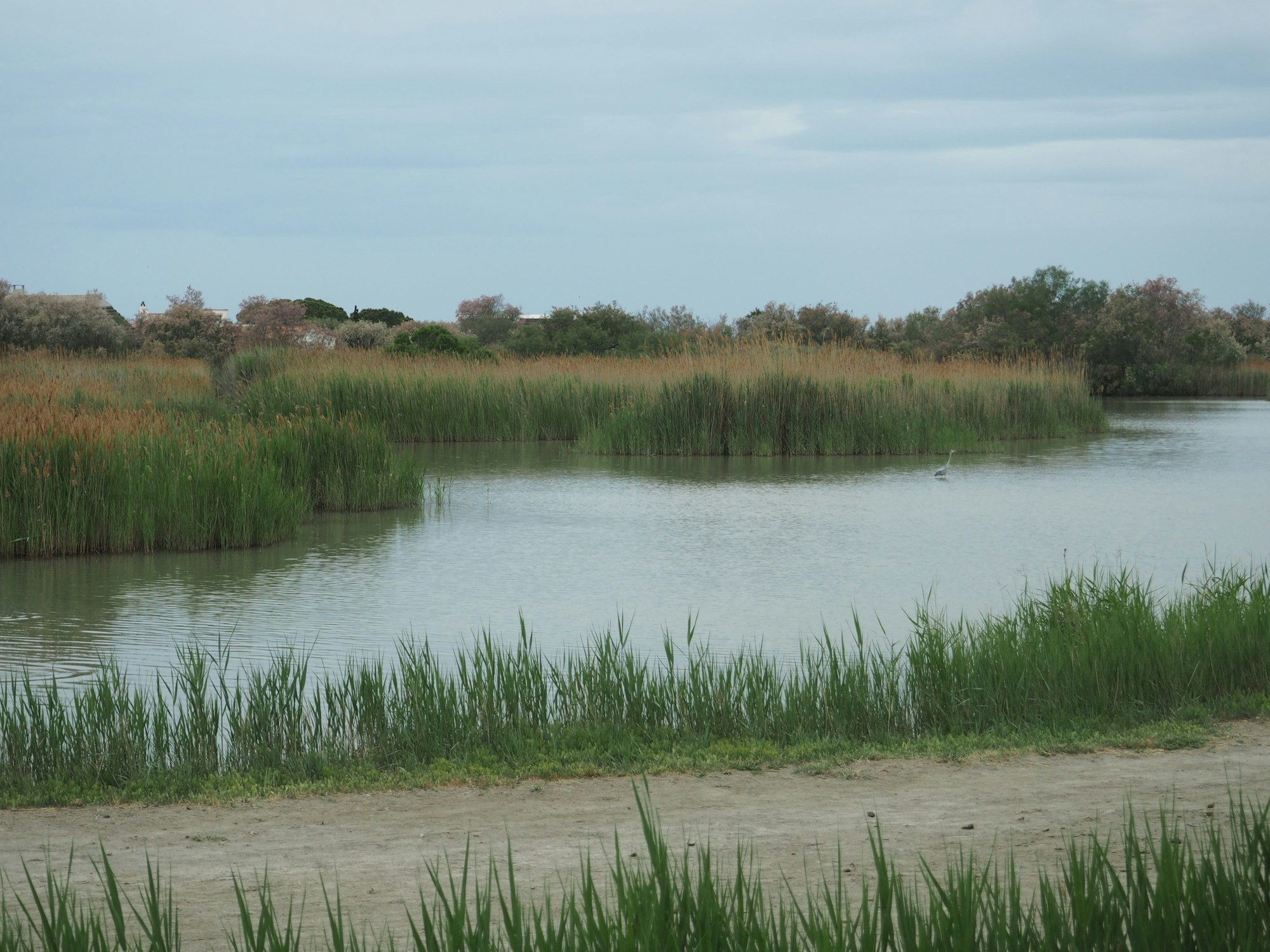 Ein Teich am Rande des Ortes Saintes-Maries-de-la-Mer.