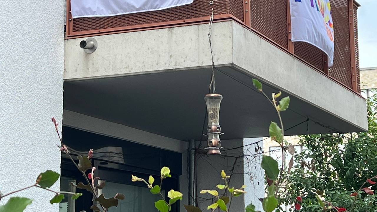 Fahnen mit der Aufschrift „Proud op Kölle“ hängen an einem Balkon in Köln-Nippes.