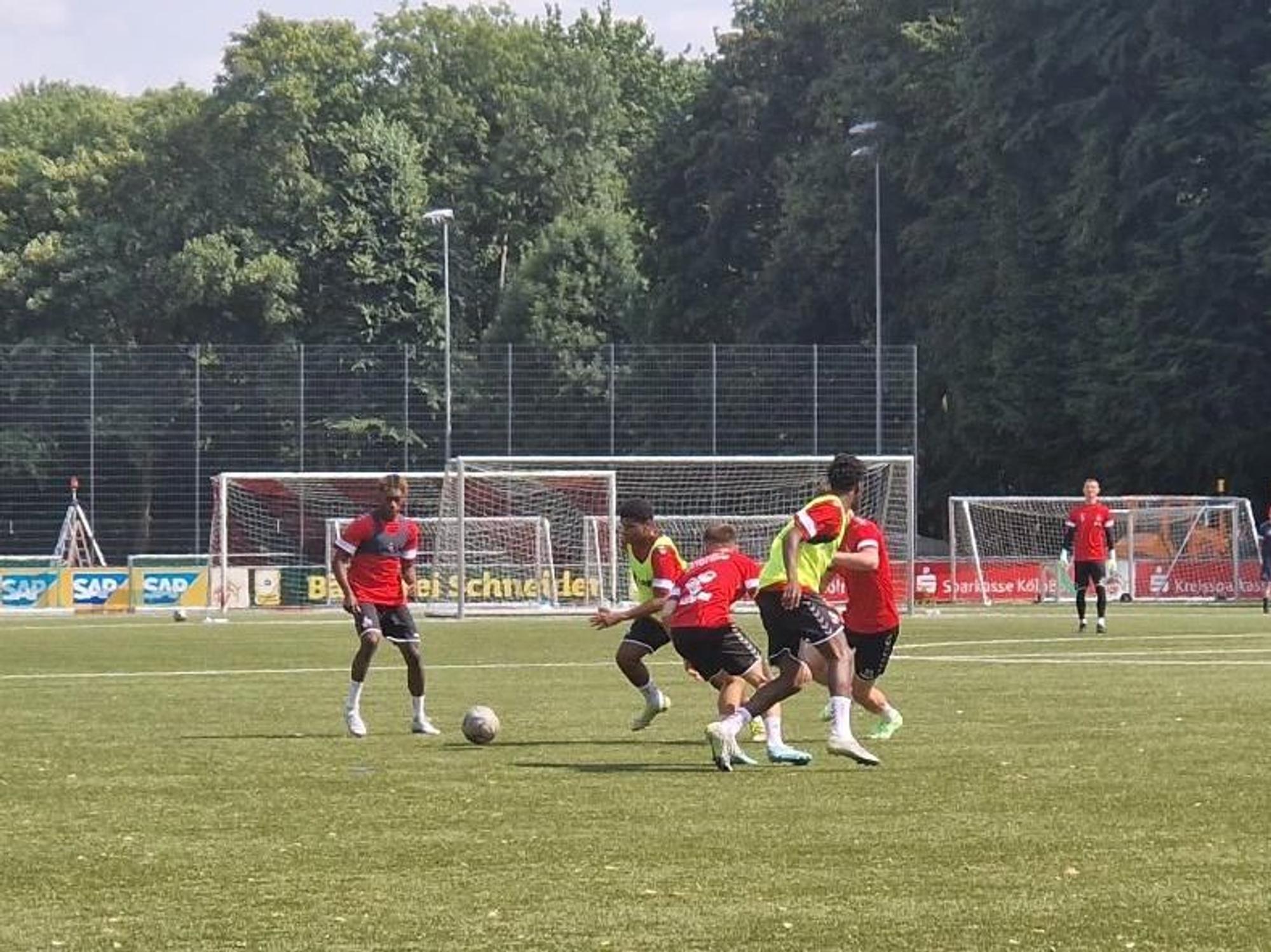 Das Training der U21 des 1. FC Köln.