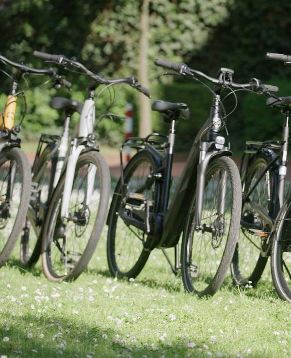 E-Bikes stehen aufgereiht nebeneinander.