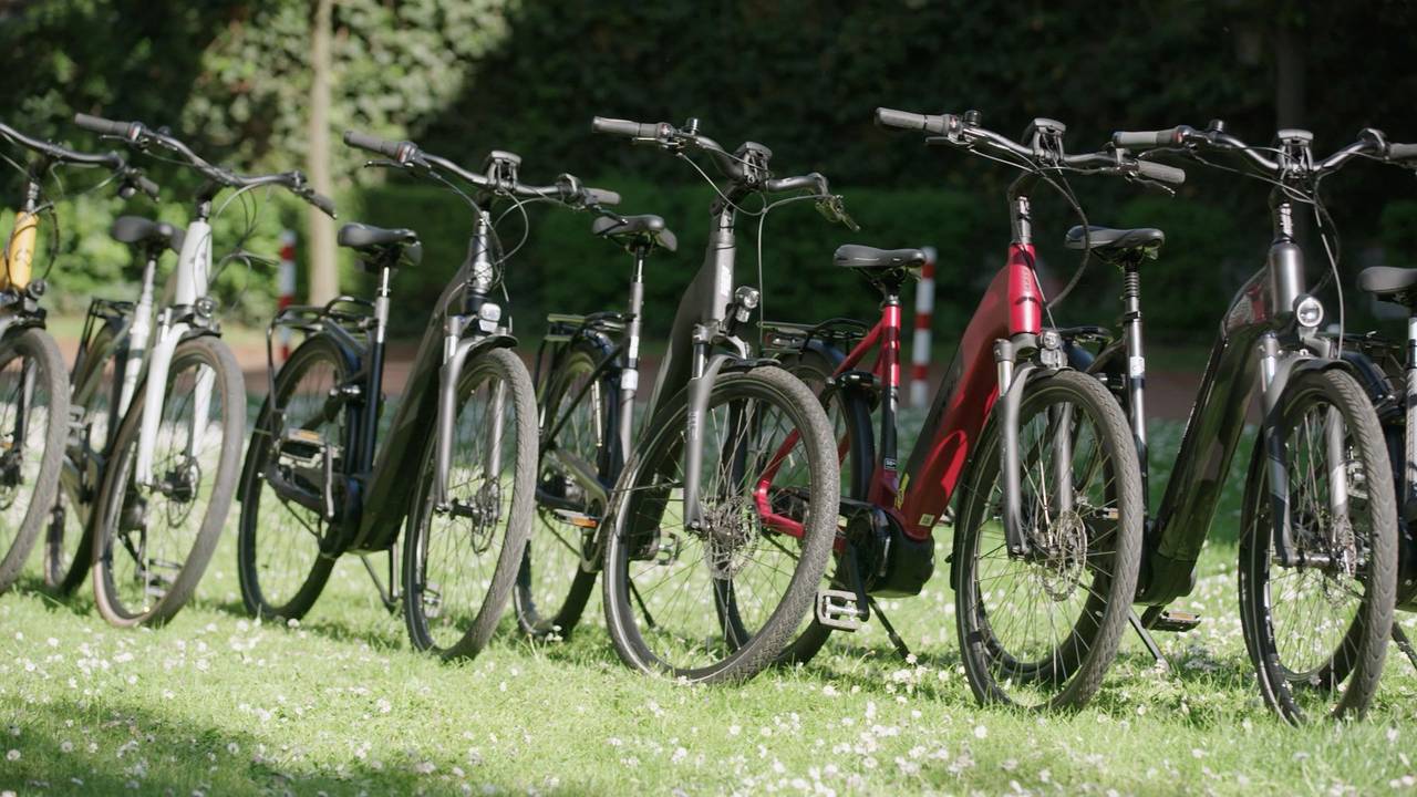 E-Bikes stehen aufgereiht nebeneinander.