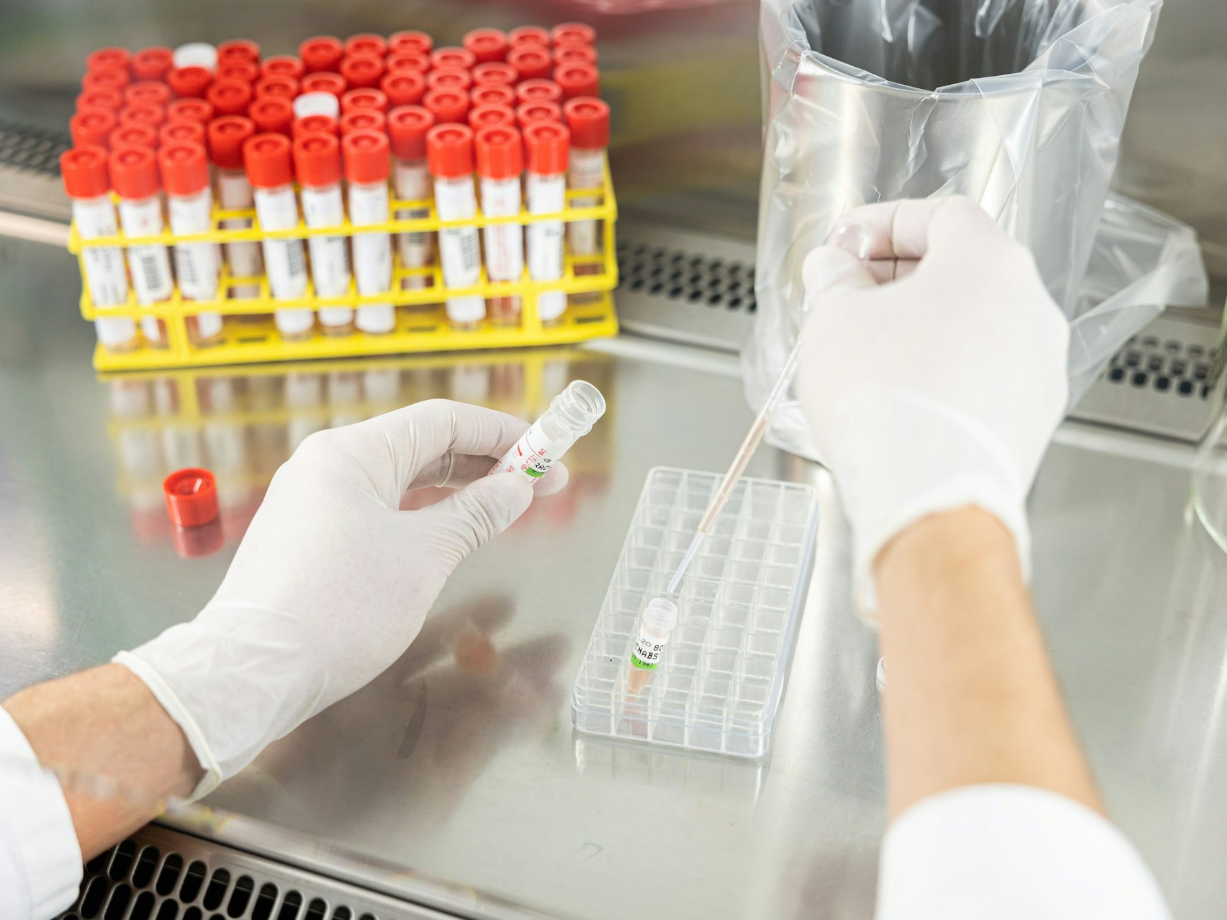 Holger Drotleff, Biologielaborant am Landesgesundheitsamt Niedersachsen, bereitet eine Probe von einem Rachenabstrich für die Analyse und Feststellung einer Infektion mittels PCR (Polymerase-Kettenreaktion) in einer Sicherheitswerkbank vor, hier im Dezember 2022.