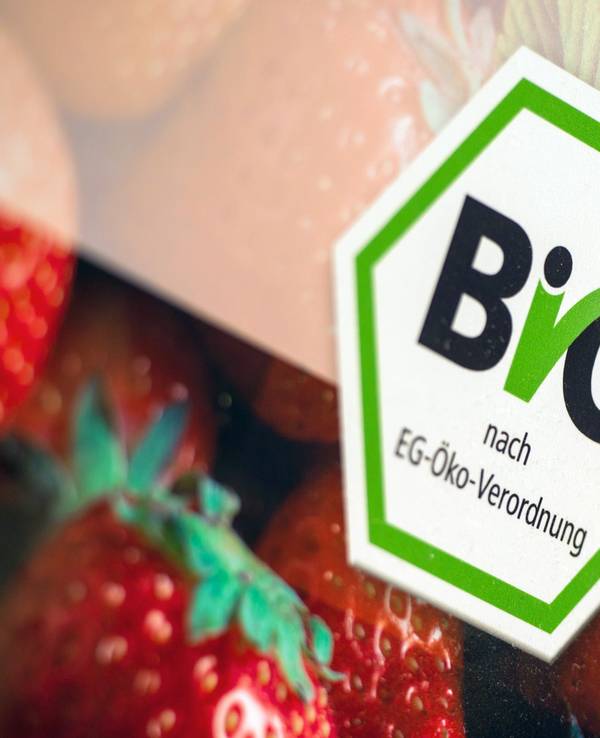 Das Bio-Siegel für Bioprodukte, die nach der EG-Öko-Verordnung produziert wurden, aufgenommen auf der Internationalen Grünen Woche, hier im Januar 2017.