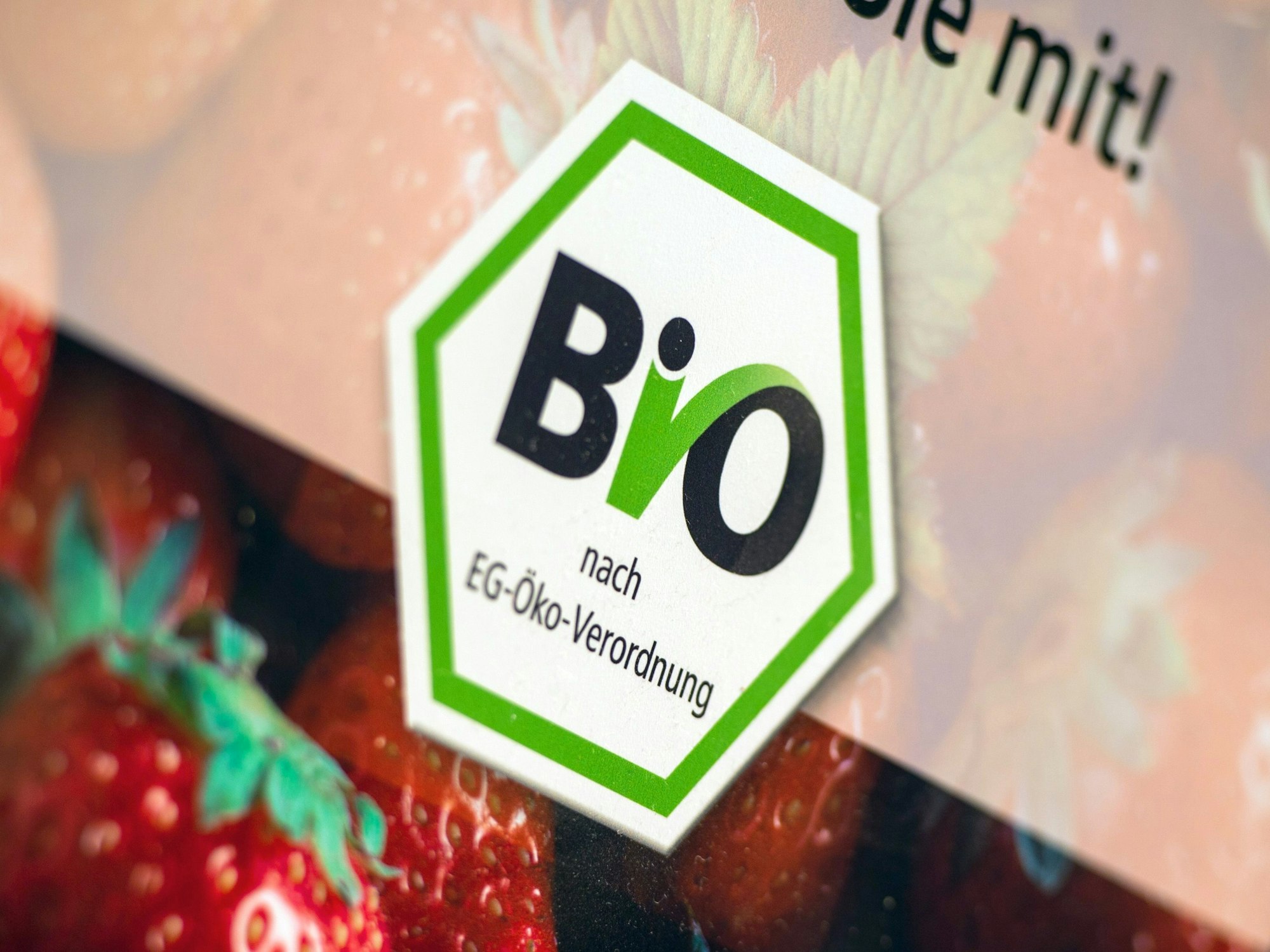 Das Bio-Siegel für Bioprodukte, die nach der EG-Öko-Verordnung produziert wurden, aufgenommen auf der Internationalen Grünen Woche, hier im Januar 2017.