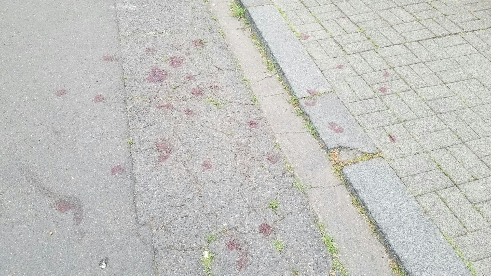Nach einem Streit Weidenpesch sind zahlreiche Blutspuren auf der Straße zu sehen.
