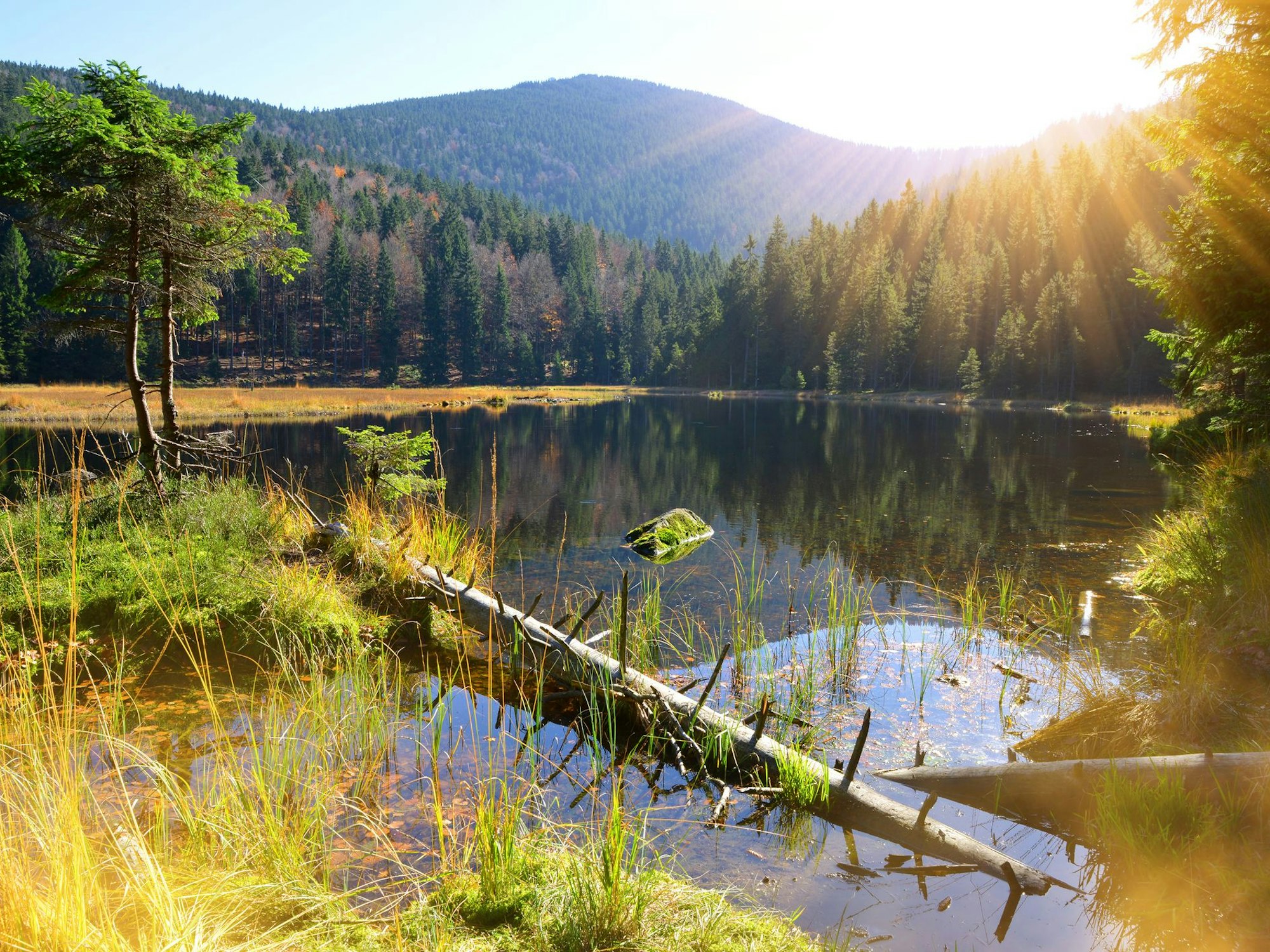 Der Kleine Arbersee im Bayerischen Wald.