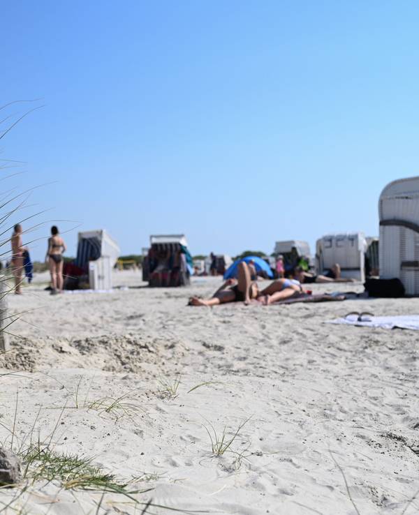 Zahlreiche Tagesgäste genießen das sommerliche Wetter am Nordseestrand.
