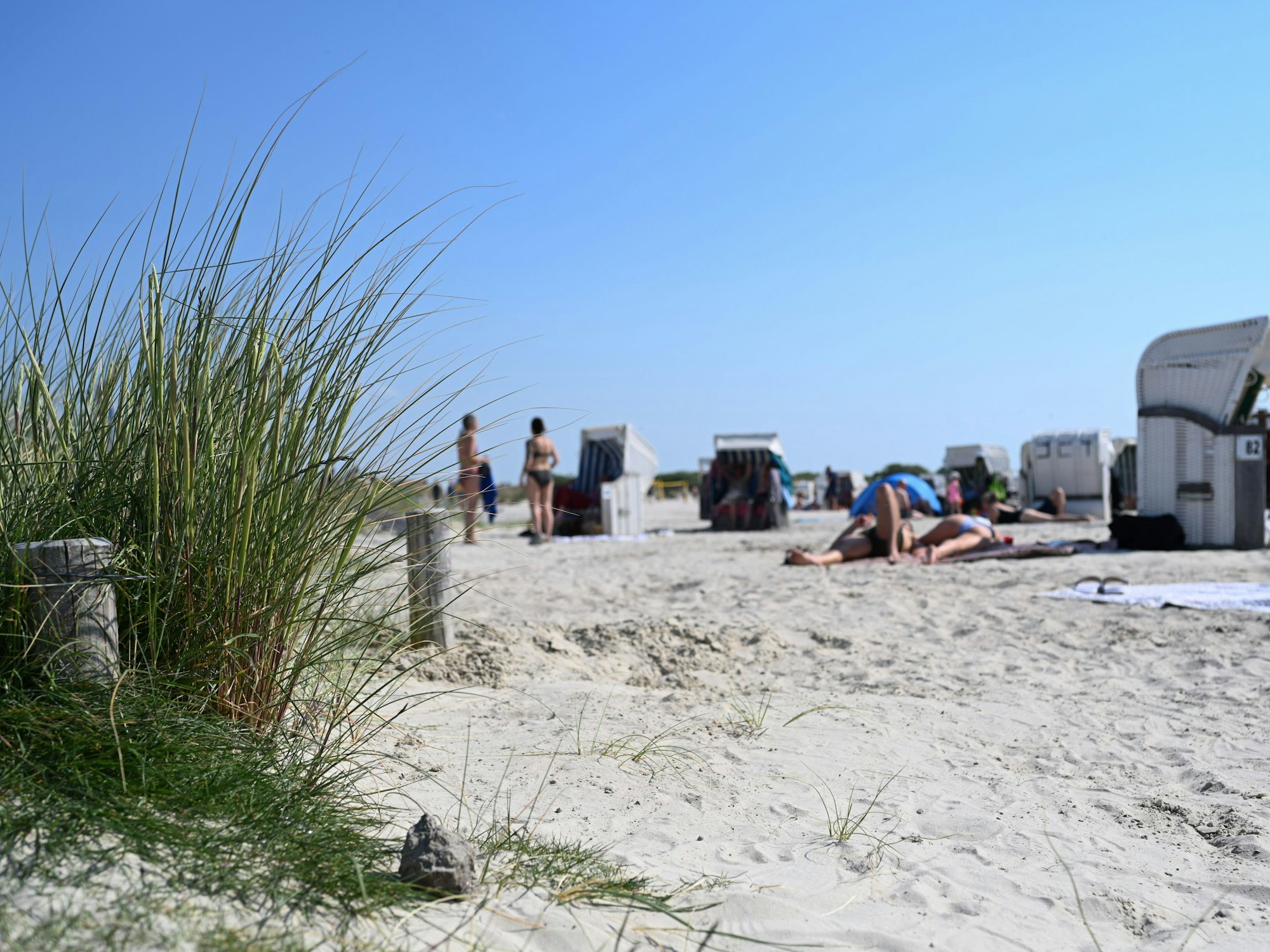 Zahlreiche Tagesgäste genießen das sommerliche Wetter am Nordseestrand.