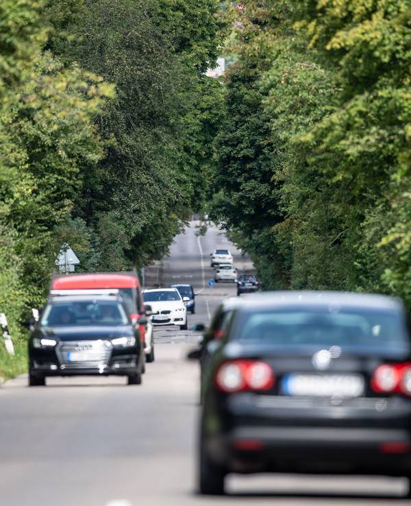 Autos fahren über eine Landstraße.