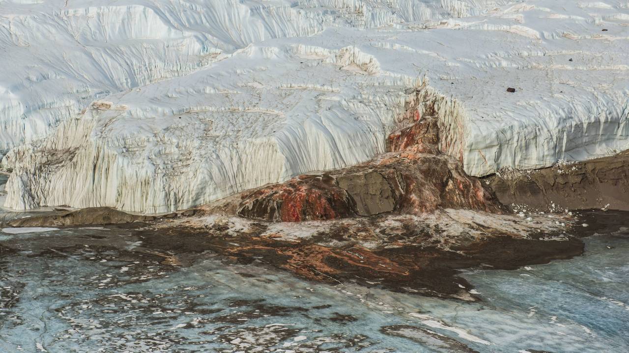 Die Blutfälle in der Antarktis.