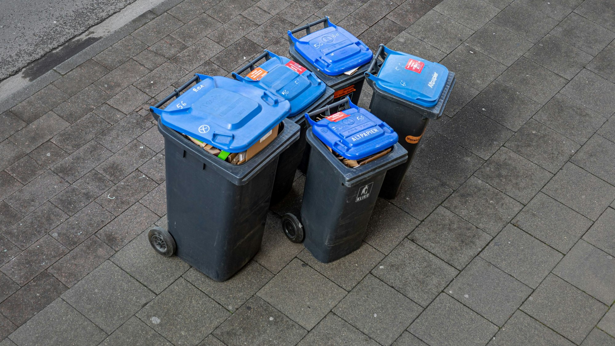 Die Standardtonne – hier die Variante für Papiermüll – steht an einer Straße in Köln.
