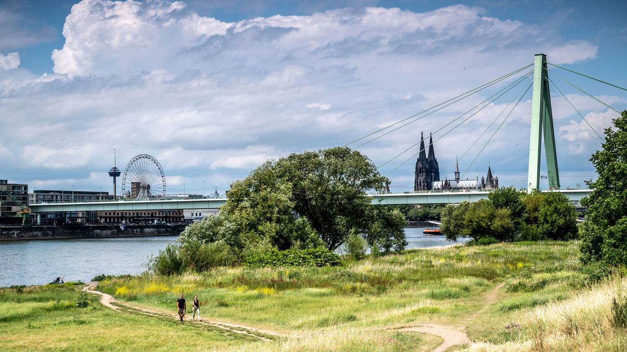 Blick vom Rheinufer auf die Severinsbrücke in Köln. Im Vordergrund sind auch Fußgänger zu sehen, im Hintergrund der Kölner Dom.