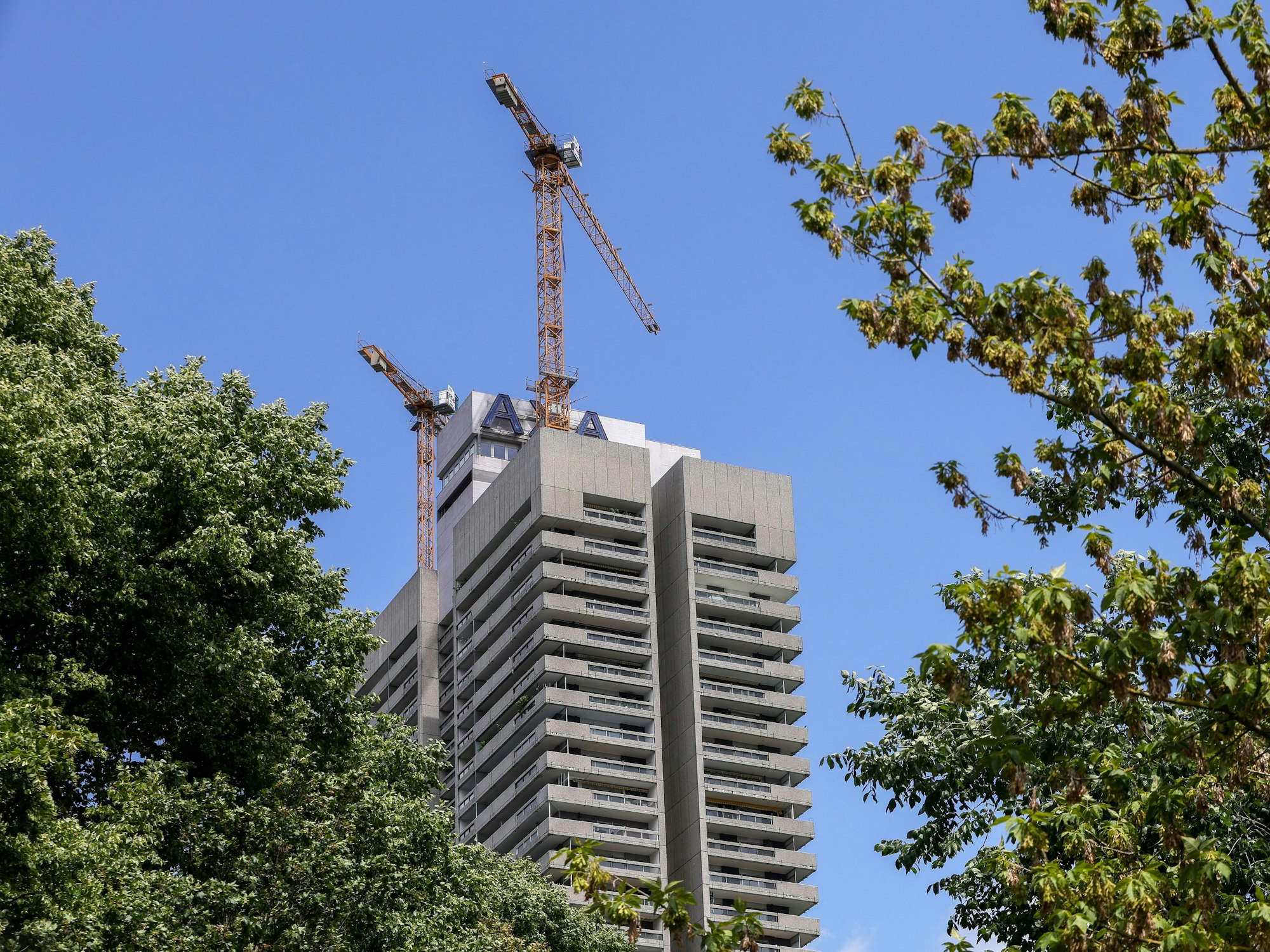 Auf dem Dach des AXA-Hochhauses (Colonia-Haus) sind zwei Baukräne aufgebaut worden.