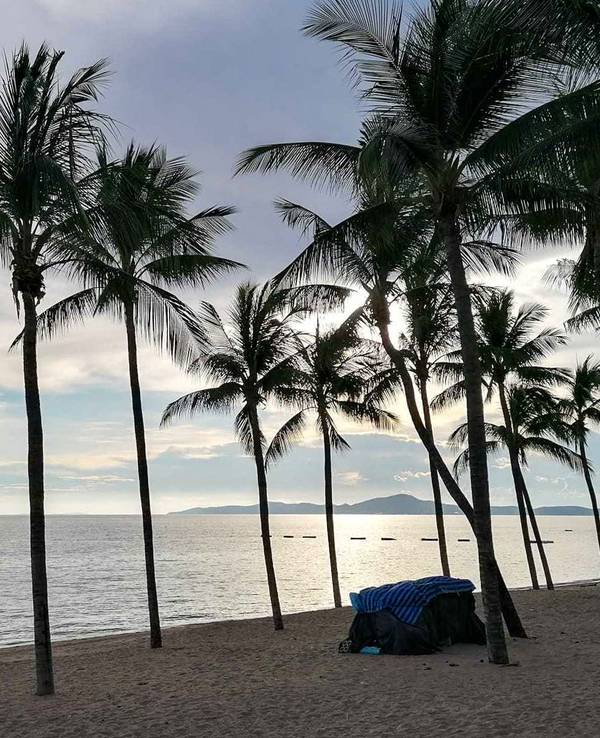 Der Strand von Pattaya in Thailand mit Palmen.