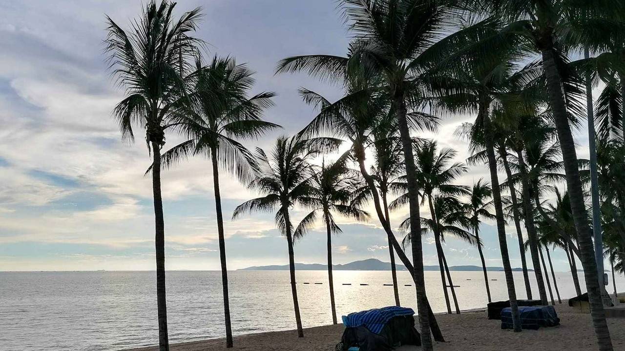 Der Strand von Pattaya in Thailand mit Palmen.