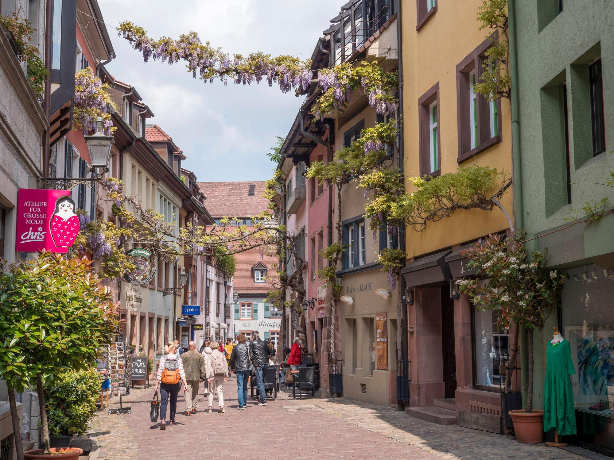 Pflanzen und Blumen ranken sich durch die alte Handwerkerstraße „Konviktstraße“ in der Altstadt von Freiburg im Breisgau.