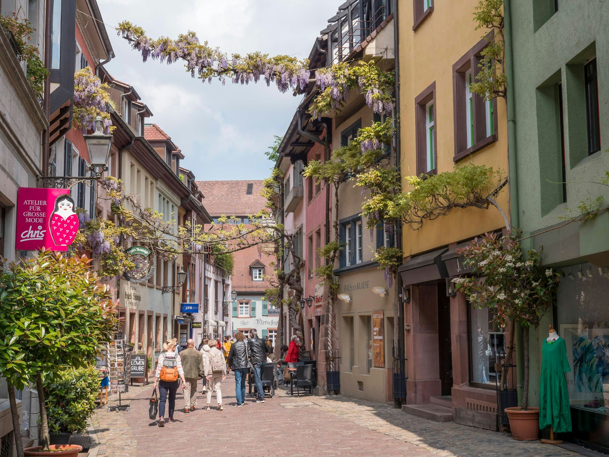 Pflanzen und Blumen ranken sich durch die alte Handwerkerstraße „Konviktstraße“ in der Altstadt von Freiburg im Breisgau.