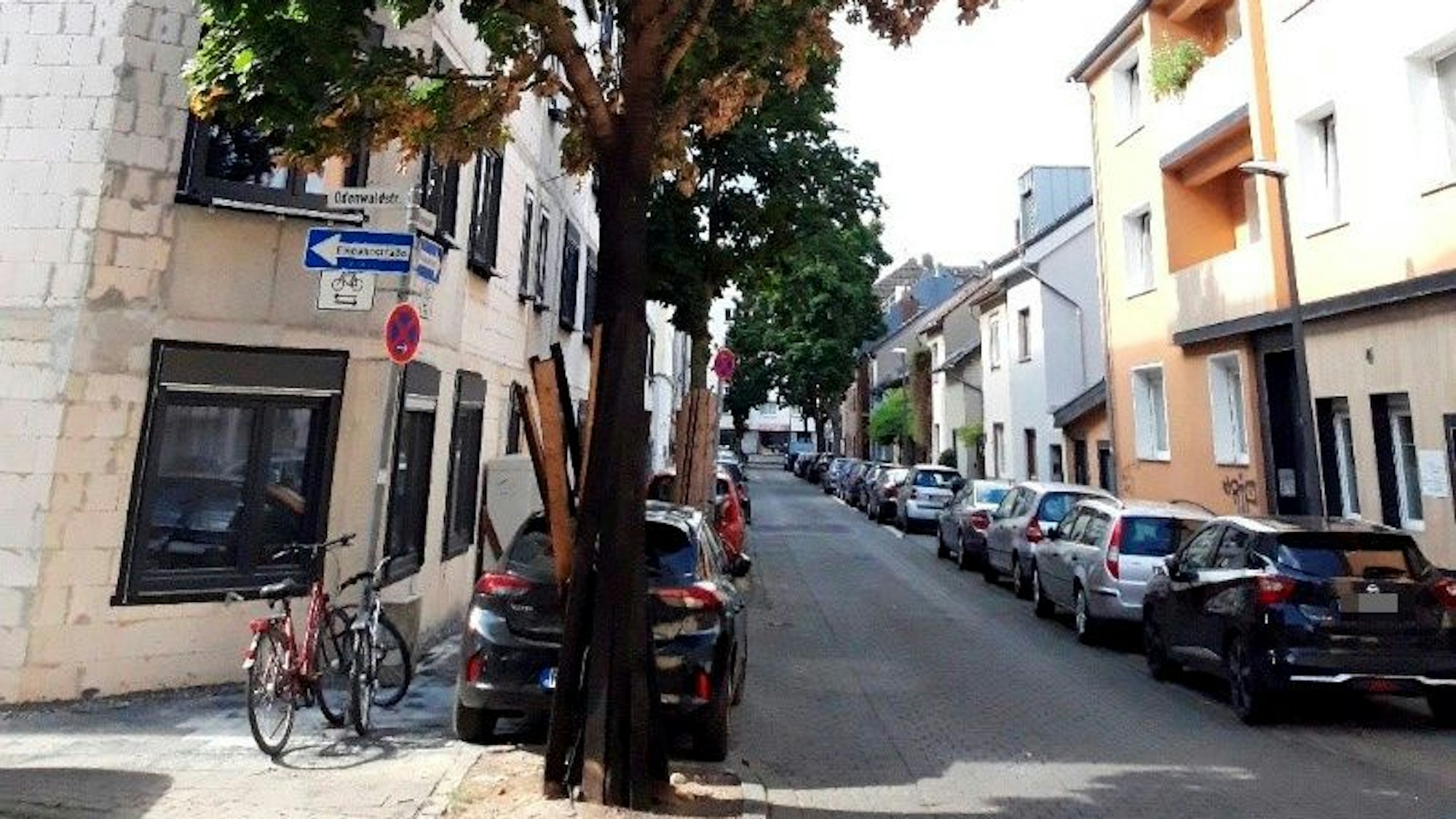 Ein Baum steht an einer Straße in Köln, der Baumschutz ist verkohlt, Flammen haben auch die Blätterkrone zum Teil zerstört.