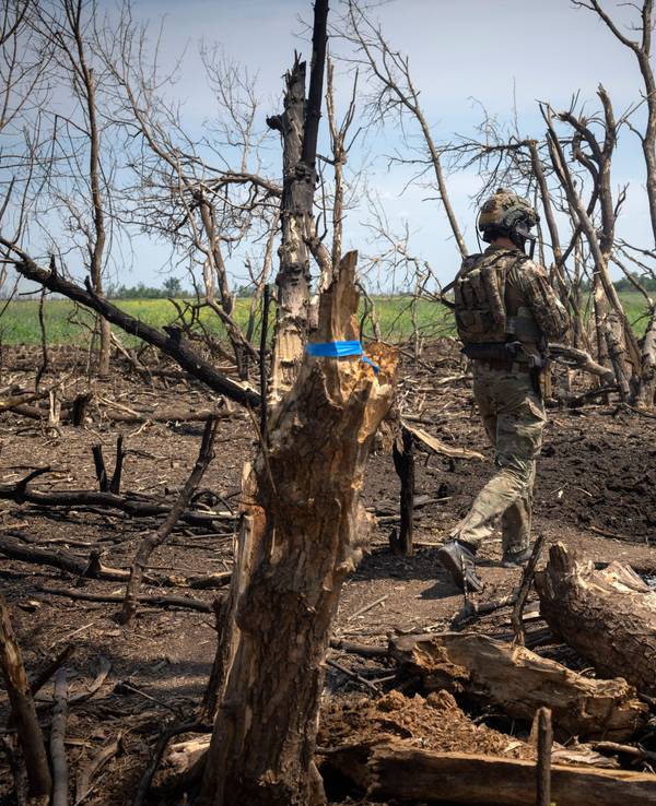 Ein ukrainischer Soldat läuft über gelockerte Erde, überall stehen zerstörte Bäume.