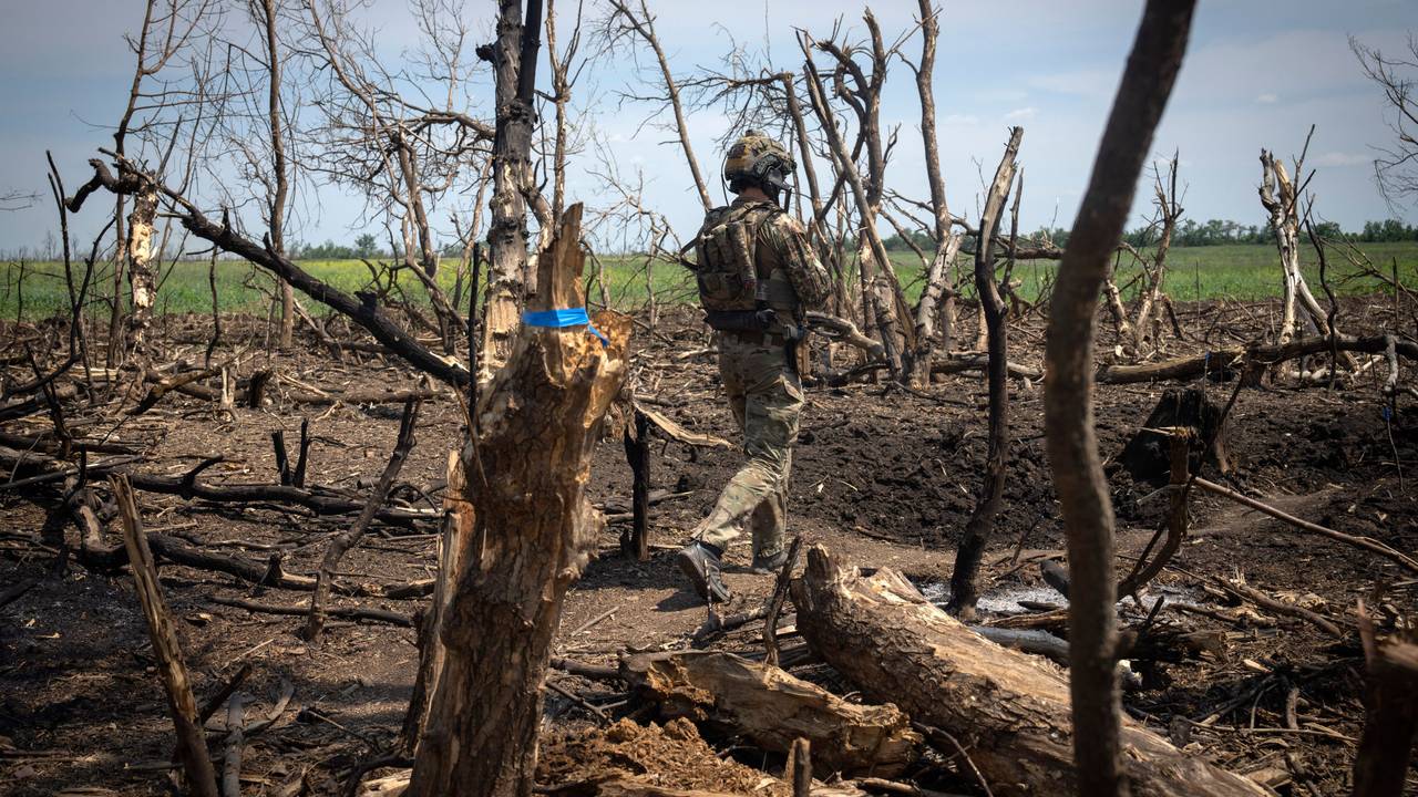 Ein ukrainischer Soldat läuft über gelockerte Erde, überall stehen zerstörte Bäume.