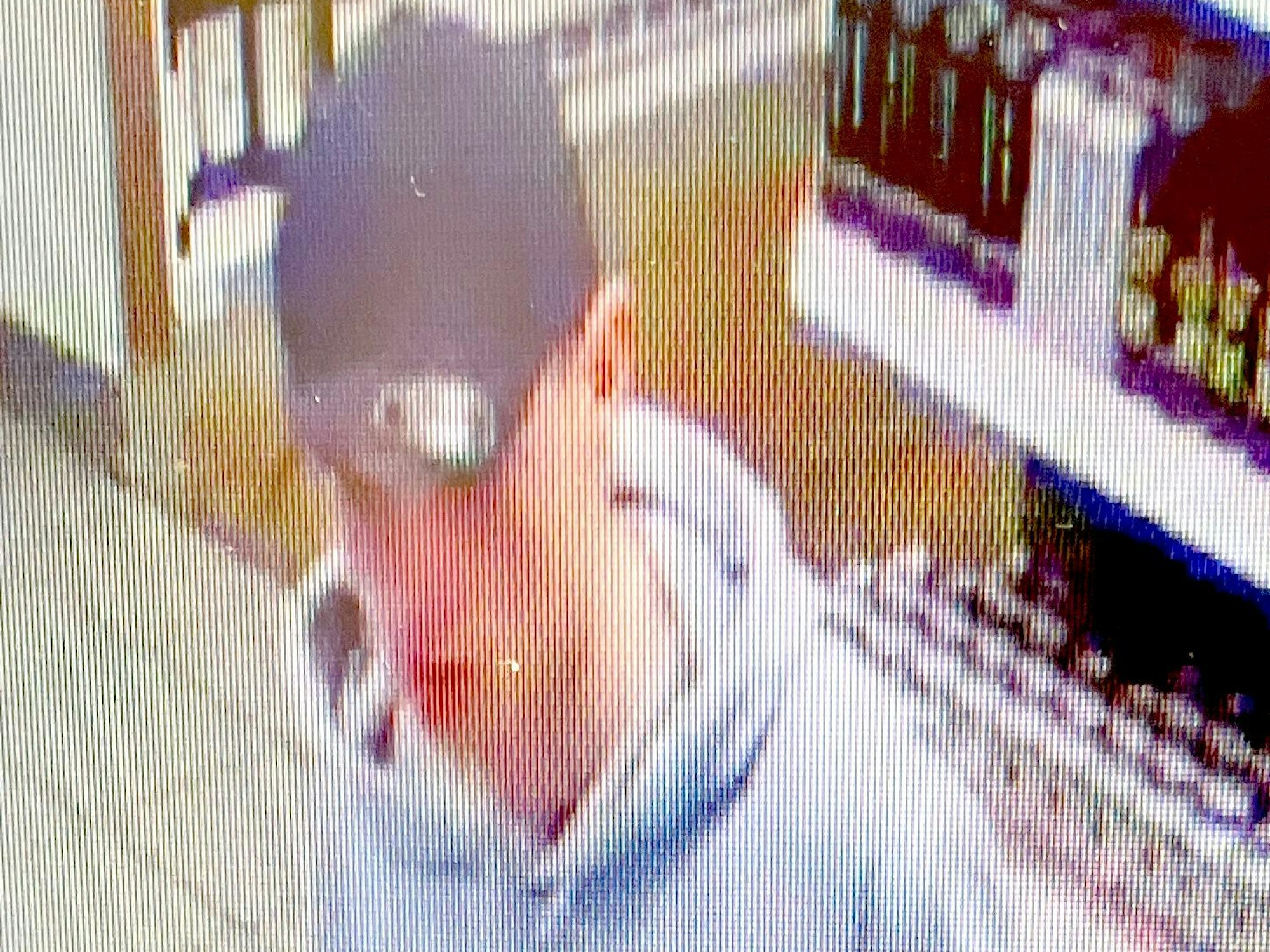 Fahndungsfoto eines jungen Mannes, der mit Kappe und Pullover in einer Tankstelle steht.