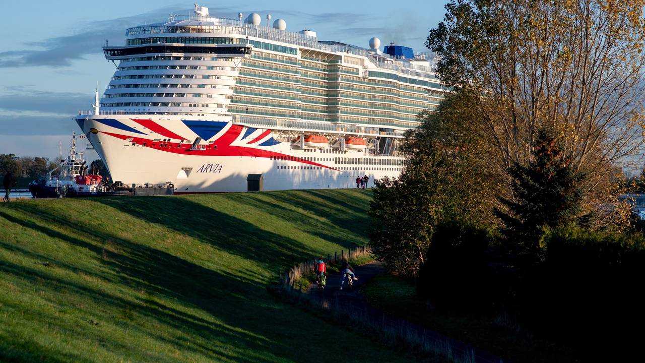 Ein Kreuzfahrtschiff fährt auf der Ems, im Vordergrund befinden sich ein Wiesenabhang und Bäume.