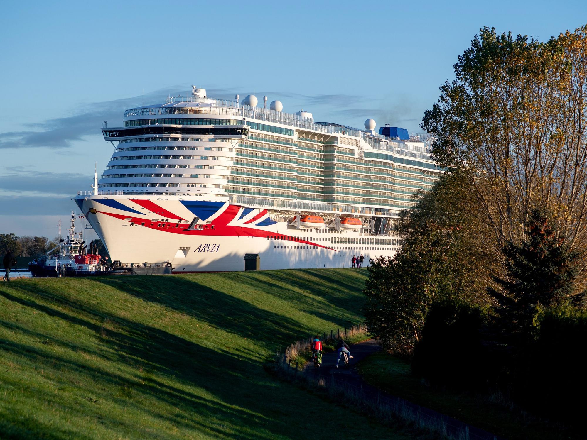 Ein Kreuzfahrtschiff fährt auf der Ems, im Vordergrund befinden sich ein Wiesenabhang und Bäume.