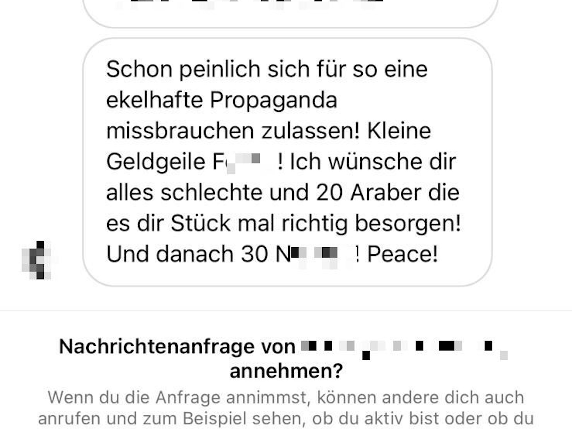 Text-Nachricht bei Instagram, auf der Laura Schultz böse beschimpft wird.