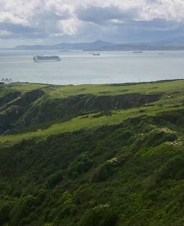 Küste bei Howth vor Dublin (Irland)