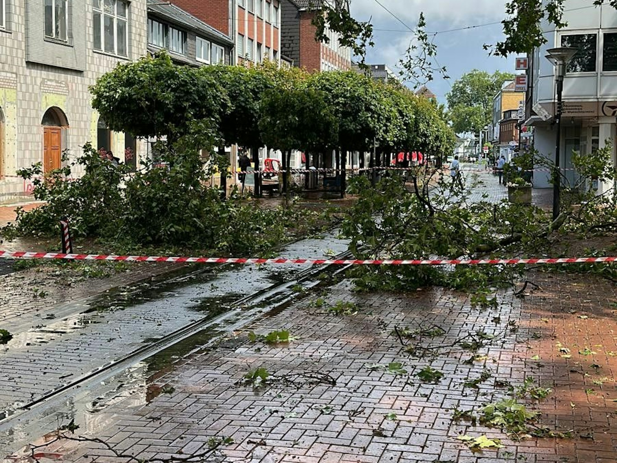 Abgerissene Äste liegen auf einer Straße, die Polizei hat den Bereich abgesperrt.