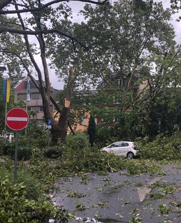 Abgerissene Äste und Blätter bedecken den Parkplatz des Rathauses in Frechen.