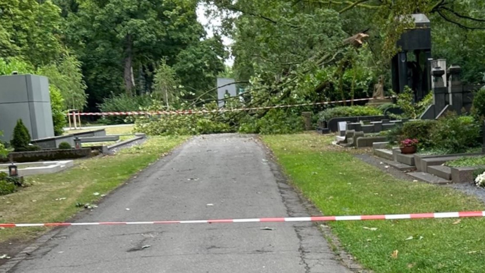 Großes Baumstück ist abgebrochen und liegt auf dem Melatenfriedhof in Köln.