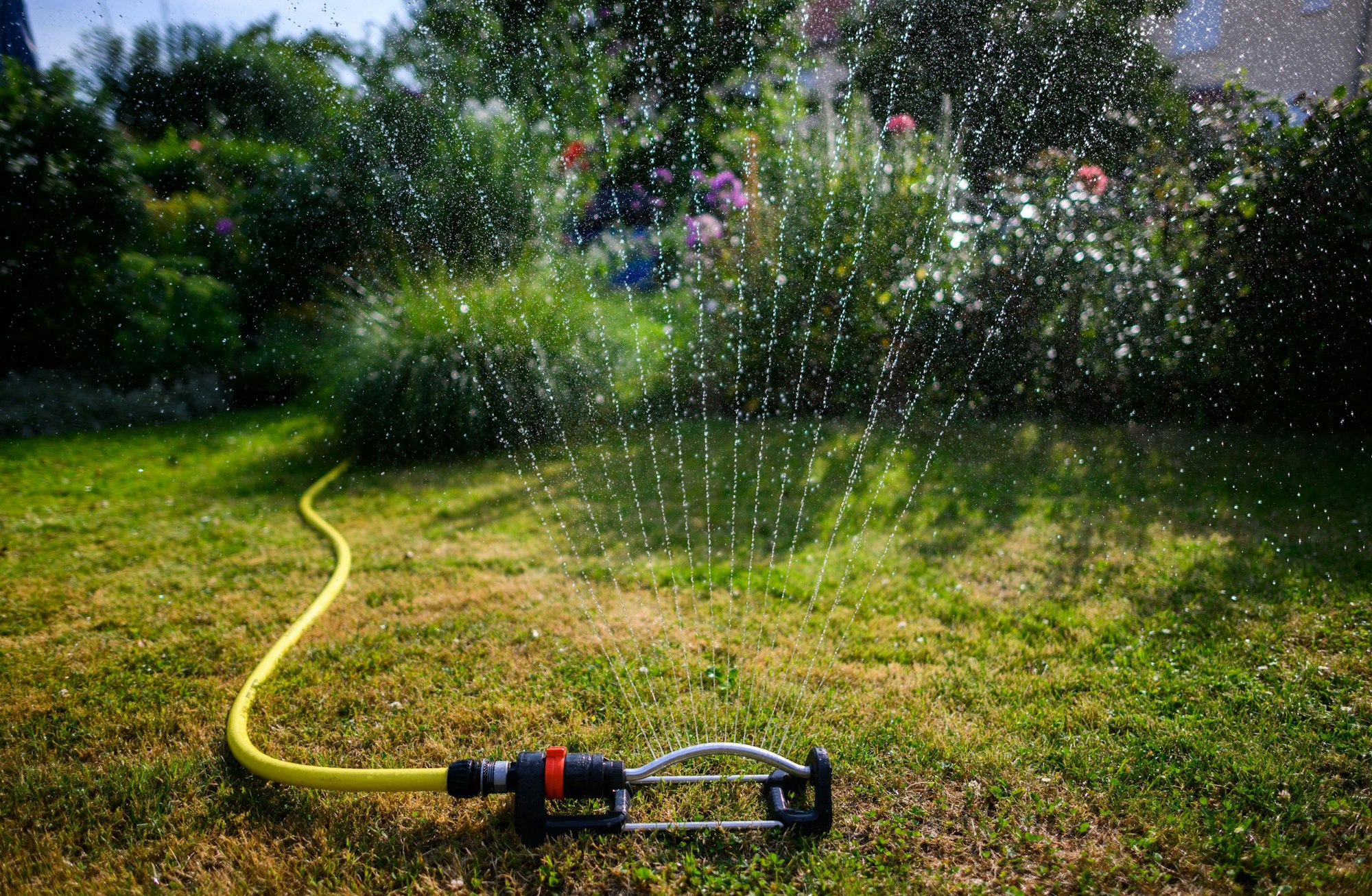 Ein Wassersprenkler bewässert den Garten.