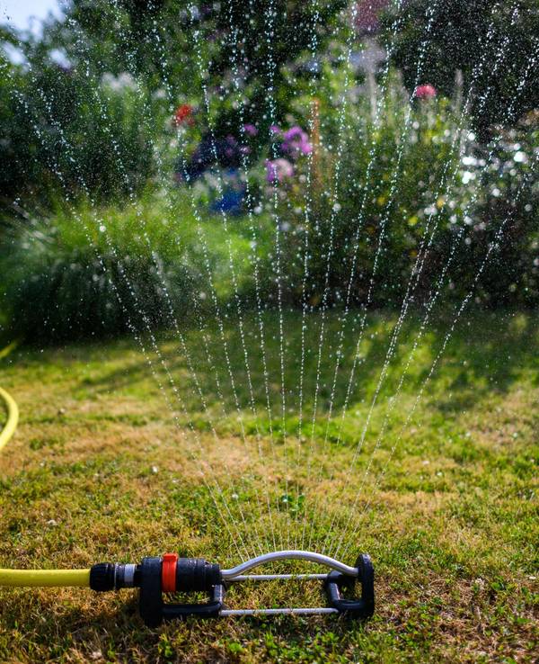 Ein Wassersprenkler bewässert den Garten.