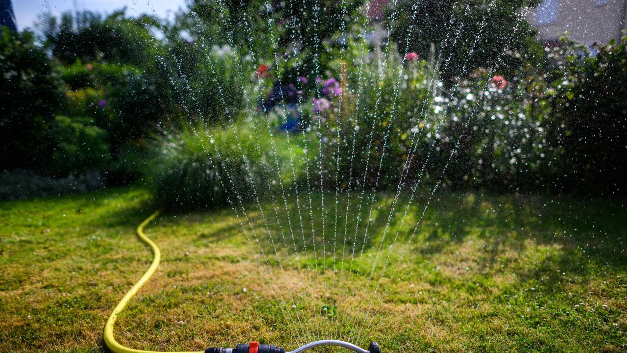 Ein Wassersprenkler bewässert den Garten.