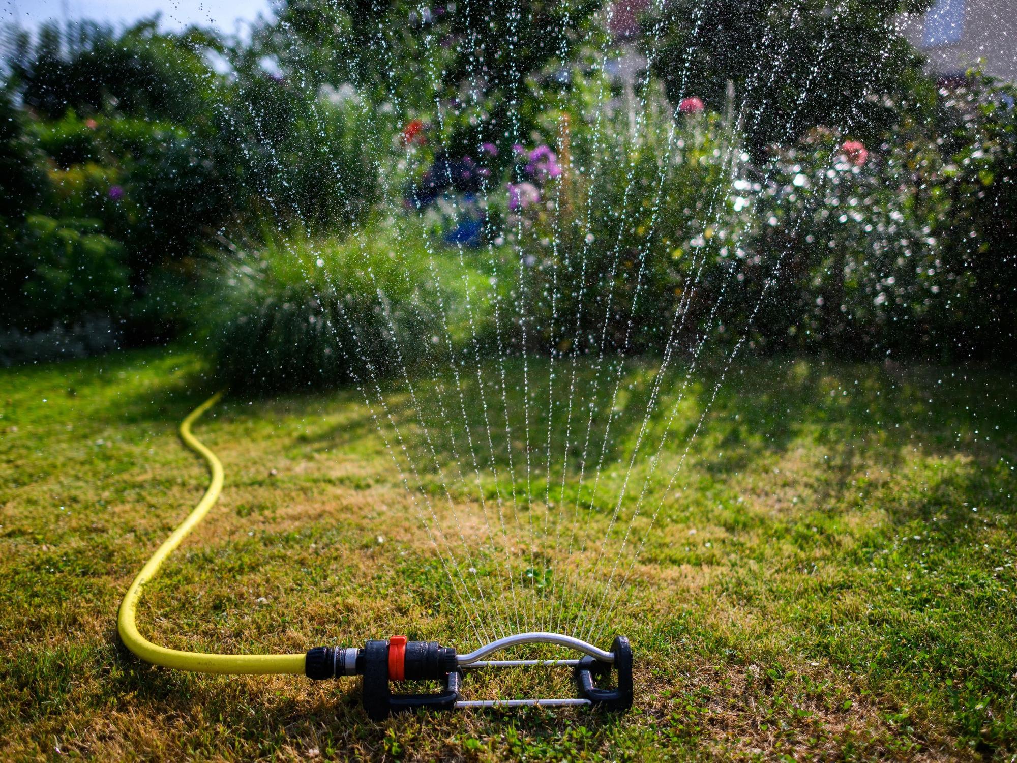 Ein Wassersprenkler bewässert den Garten.