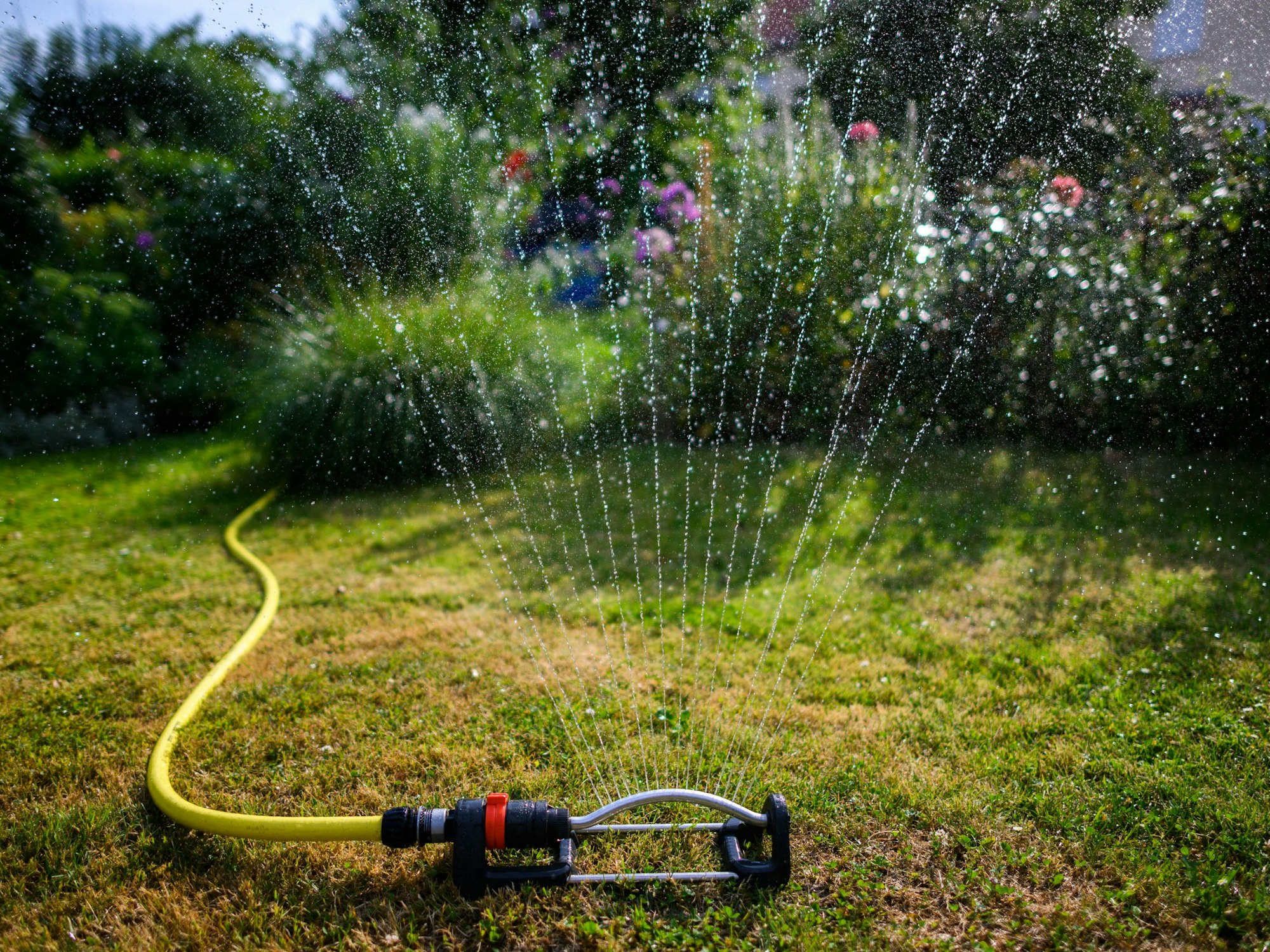 Ein Wassersprenkler bewässert den Garten.
