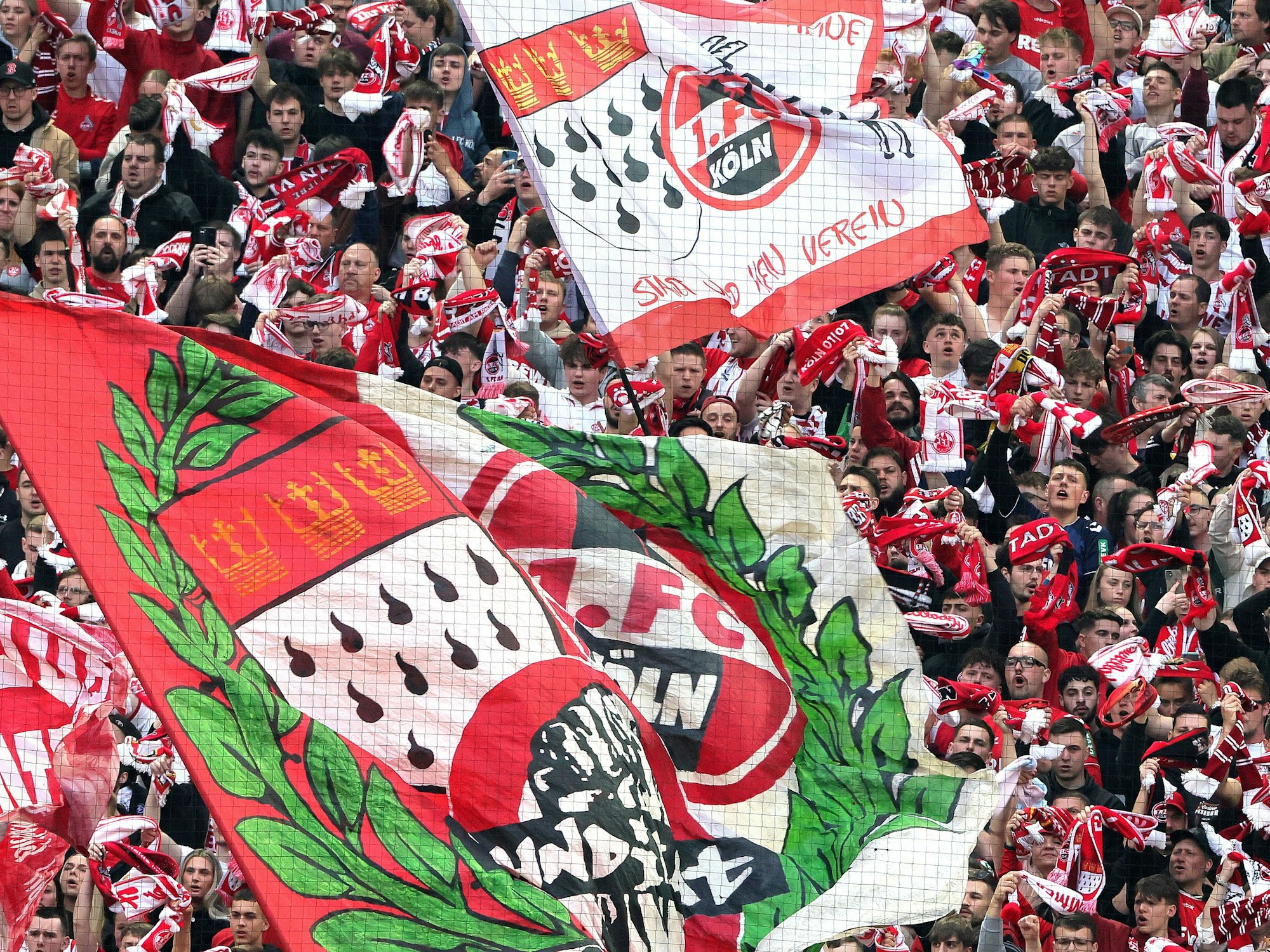 Die Fans auf der Südkurve.