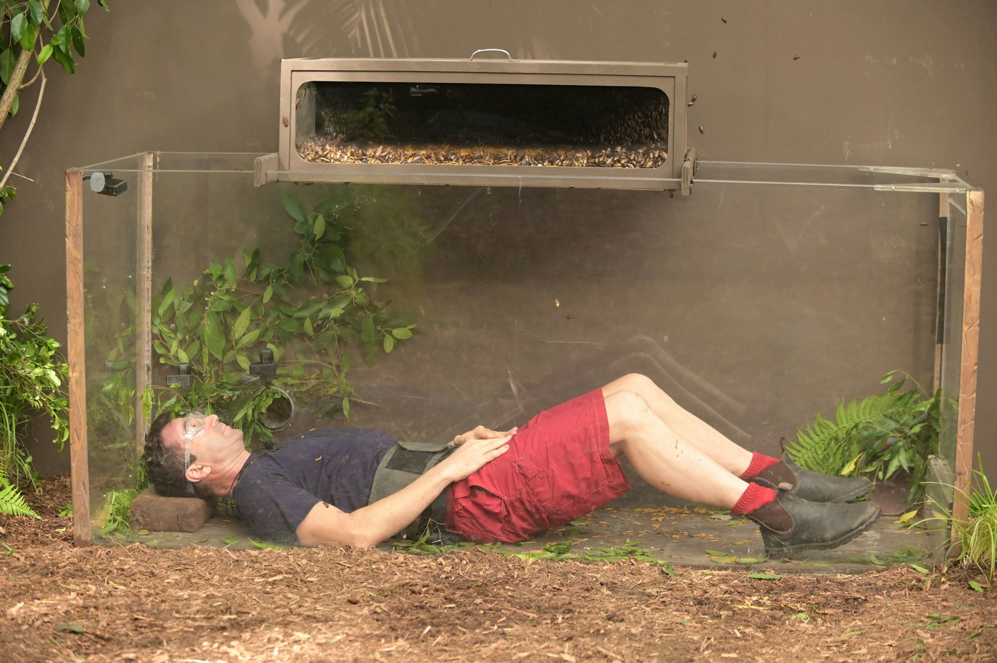 Sänger Lucas Cordalis, hier 2023, bestreitet an Tag 17 der RTL-Show „Ich bin ein Star – Holt mich hier raus!“ die Dschungelprüfung „Stabil“ und kämpft für die Nachspeisen.