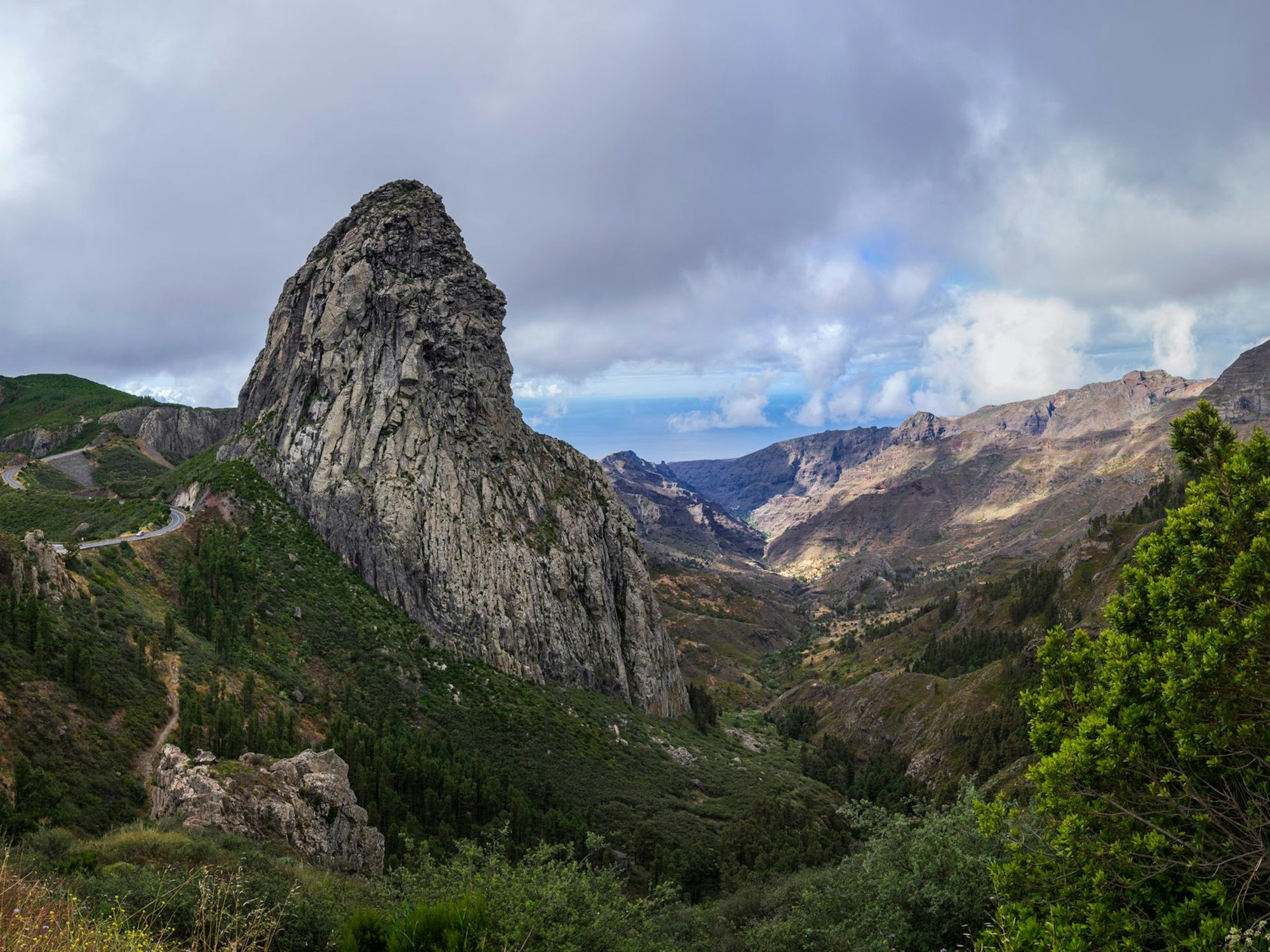 Ein hoher Fels ragt aus einem grünen Wald hervor.