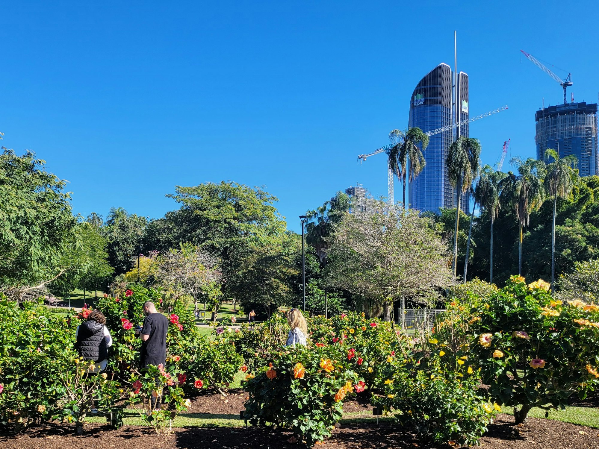 Botanical Garden Brisbane