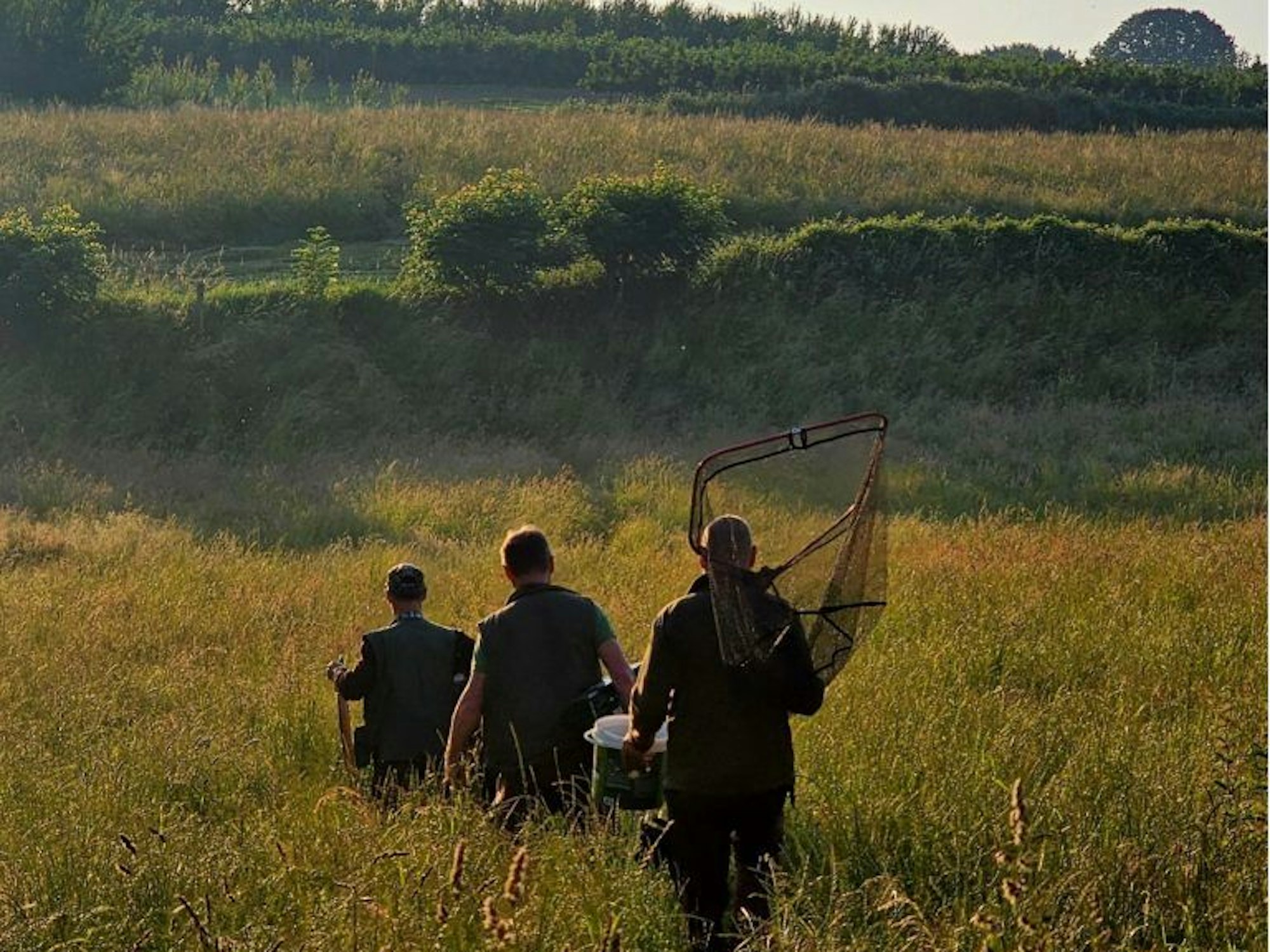 Drei Männer laufen durch hohes Gras, einer hat einen großen Kescher und einen Eimer in der Hand.