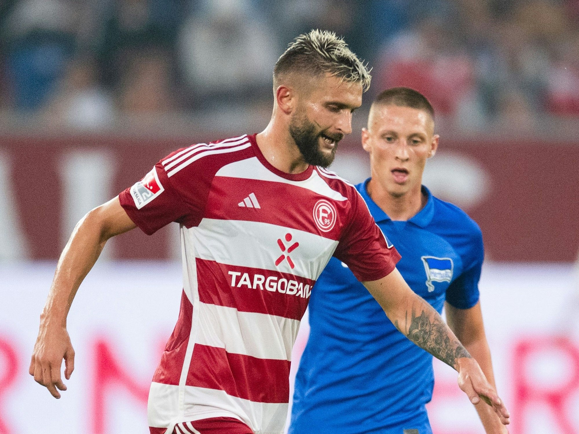Düsseldorfs Nicolas Gavory (l) und Herthas Palko Dardai kämpfen um den Ball.