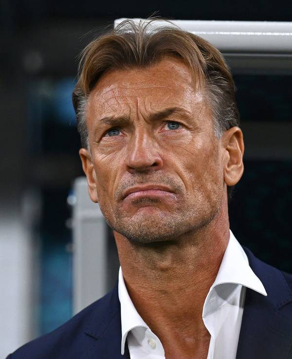 Herve Renard, Trainer von Frankreich, während des Spiels.