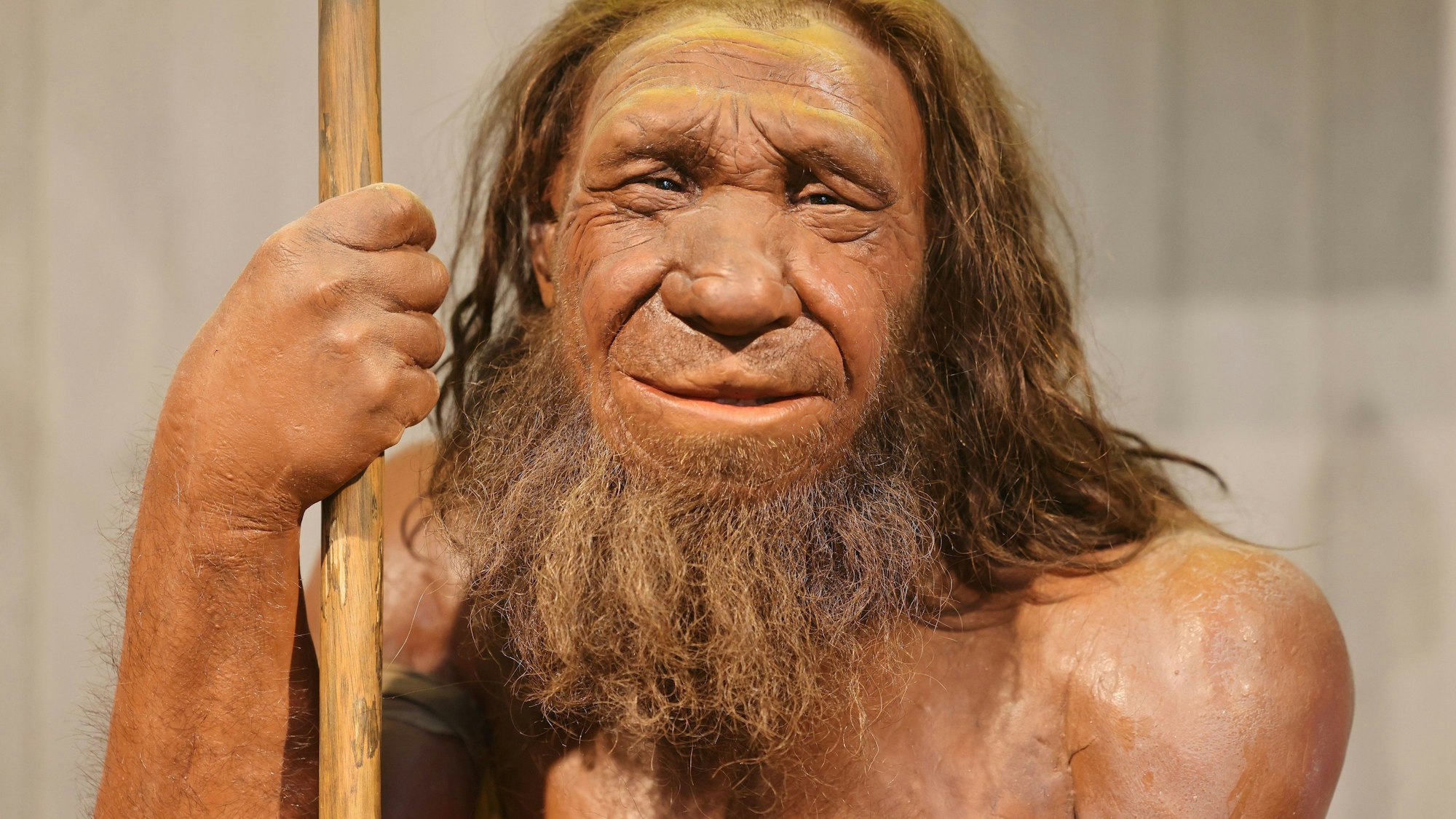 Die Nachbildung eines Neandertalers im Museum.