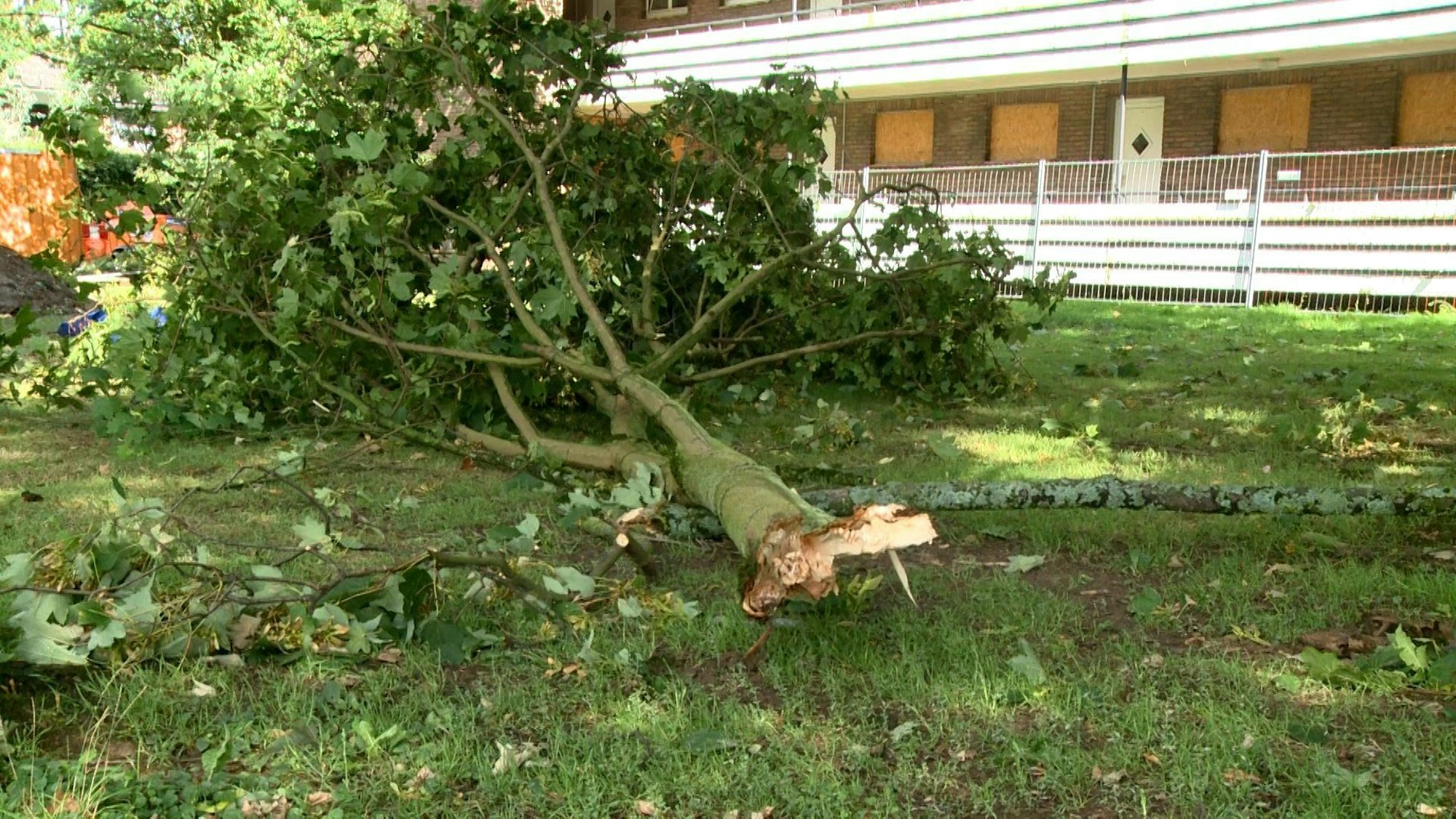Ein großer, abgebrochener Ast liegt in Moers nach einem Unwetter am 2. August 2023 auf dem Boden.
